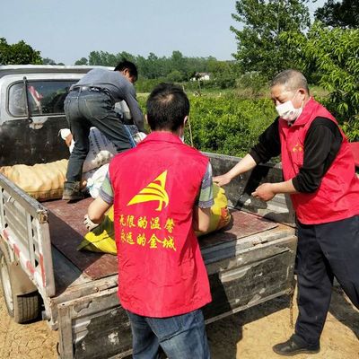 幫賣助農(nóng) 用愛扶貧——金城紅馬甲赴子陵采購愛心農(nóng)產(chǎn)品活動紀(jì)實(shí)