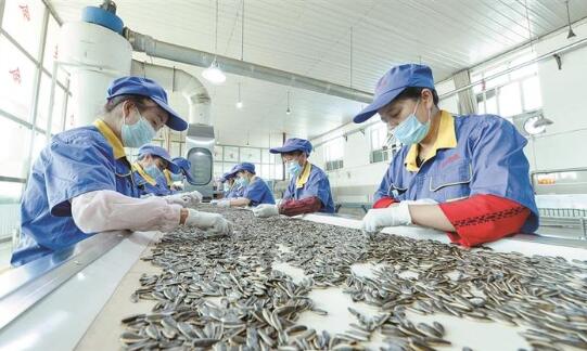 新疆兵團 完善政策體系 賦能食品經營 譜寫鄉村振興新篇章