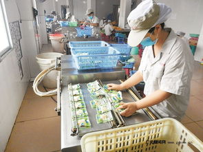 區域優勢轉化為發展動能 四川打造一批商貿物流特色鎮，食品經營煥發新活力